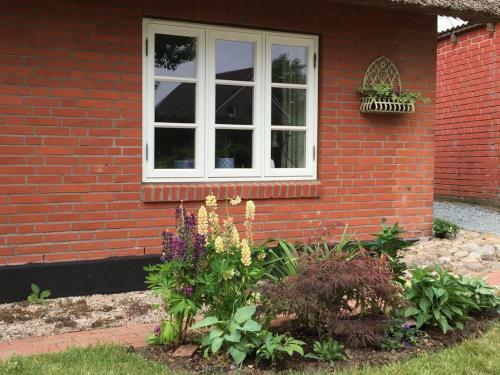 Nordsee-traum Unter Reet
