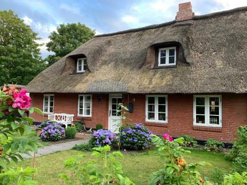 Nordsee-traum Unter Reet