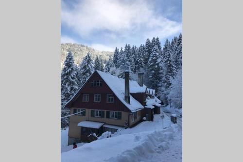 Apartamento Wood Lodge