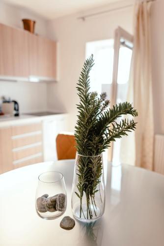 Luxury Apartments Zelny TRH 4