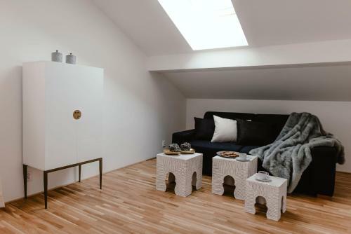 Luxury Apartments Zelny TRH