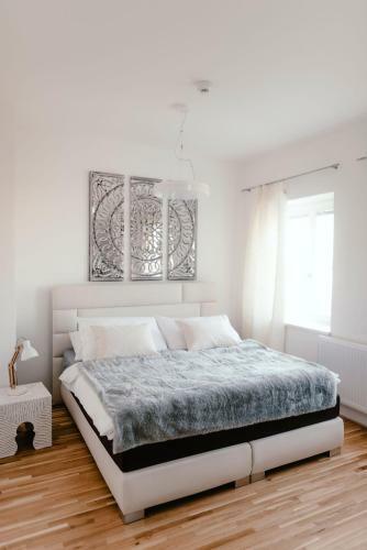Luxury Apartments Zelny TRH