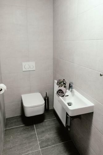 Luxury Apartments Zelny TRH