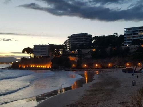 Apartamento Excepcional,piscina Y 100m De La Playa
