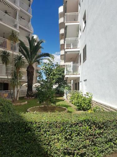 Apartamento Excepcional,piscina Y 100m De La Playa