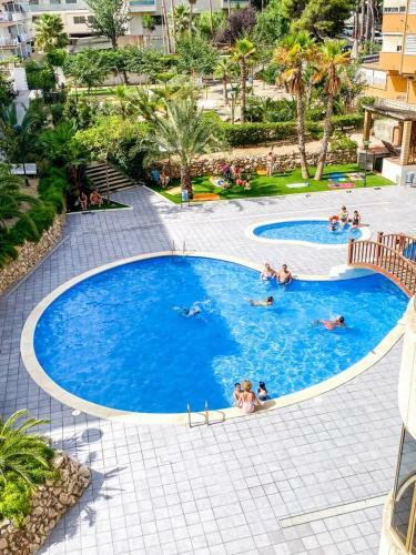 Apartamento Excepcional,piscina Y 100m De La Playa