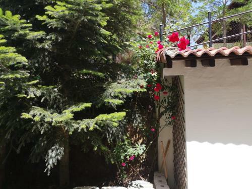 Villa Efrosyni By Agroholidays