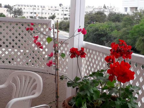 Apartamento Protaras Happy Sunny Holidays