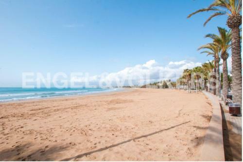 Apartamento A 20 Metros Playa