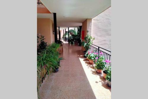 Elegante Apartamento Junto Al Mar En Cap Salou