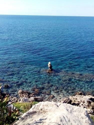 Tala Hills Sea View Apartment