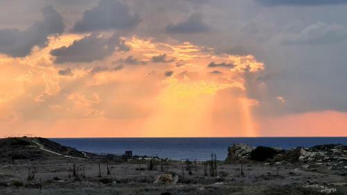 Phaedrus Living: Seaview Luxury Villa Venus