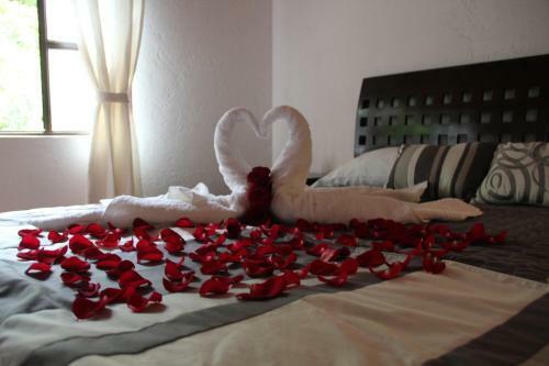 Tu Caba�a Cuernavaca - Hospedaje By Arcadia