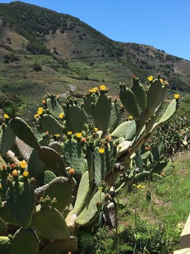 Apartamento Royal Marina Golf-b