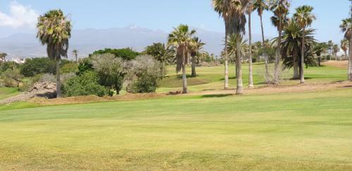 Cosy Well Located Apartment Tenerife Sur Golf