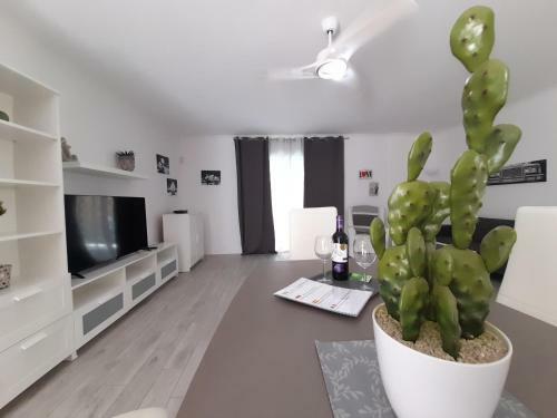 Villa Blanca - Fitness House