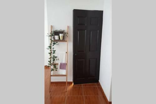 H&s Rent Casa Andrea Cuernavaca