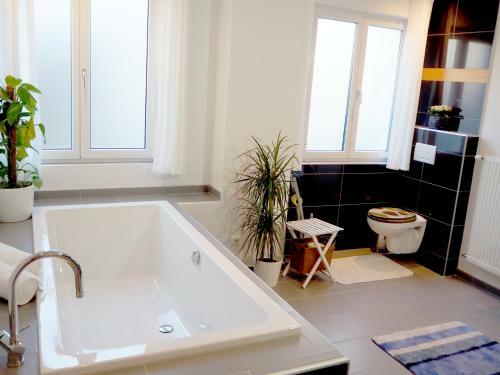 Apartment Loidl Ebensee