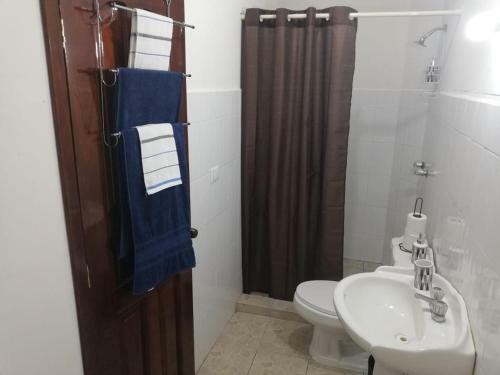 Apartamento Departamento Amplio, Acogedor Y Centrico