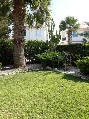 Pervolia Villa At Faros Beach