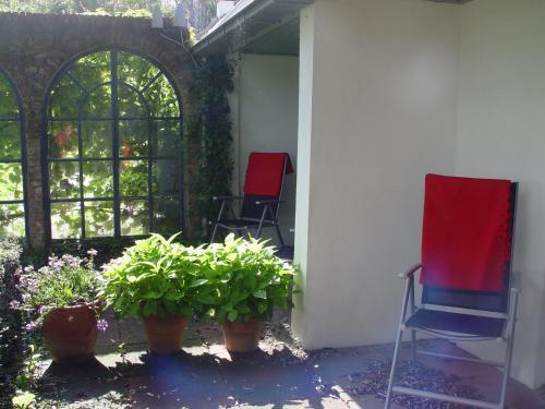 Bed & Breakfast Landgoed Wilgenheerd