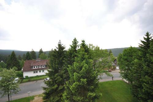 Apartamento Fewo Altenau