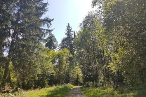 Apartamento Altenauer Waldfrische