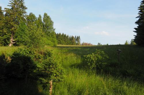 Apartamento Ferienwohnung Am Kunstberg 29