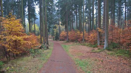 Apartamento Ferienwohnung-rita