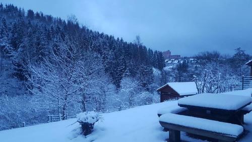 Apartamento Altes Forstamt Altenau