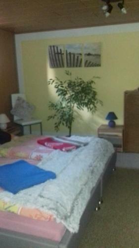 Apartamento Ferienwohnungen Langer
