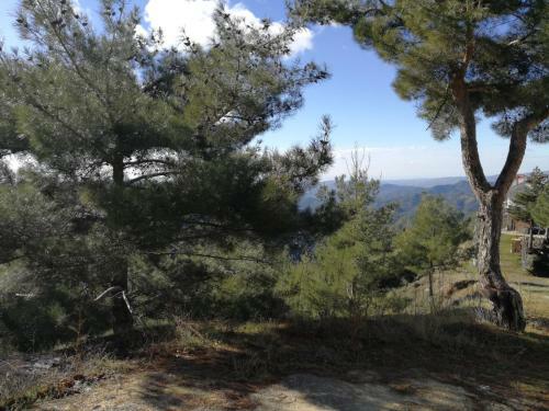 Bed & Breakfast Heaven Of Prodromos