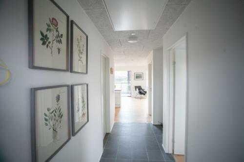 T�rshavn - New 2 Br Apartment