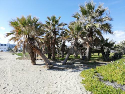 Ria Beach Sea View Apartment