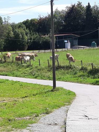 Agroturismo Casa Rural Irigoien