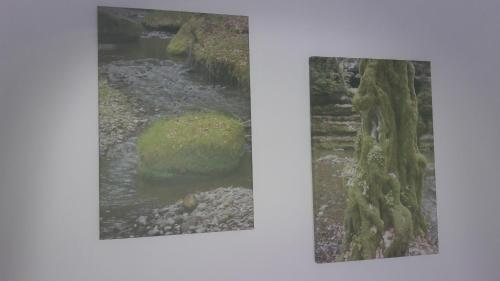 Apartamento Ferienhaus Schrammsteinblick