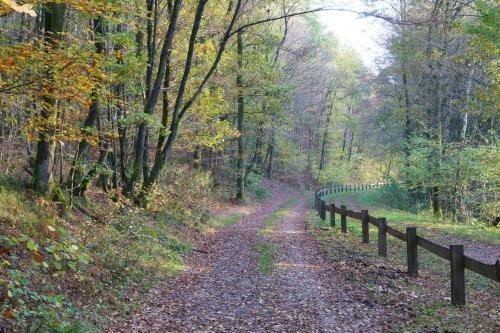 Bed & Breakfast Ardenne Essentielle