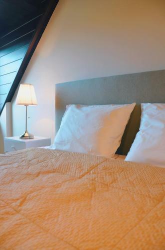 Villa C�leste Met Jacuzzi Nabij Kust De Haan