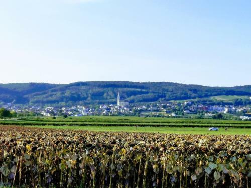 Apartamento Ferienwohnung Burgenland