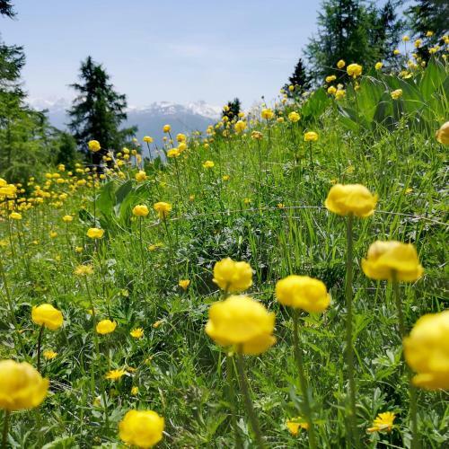 Apartamento Appartement 32 Crans-montana