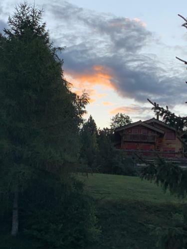 Apartamento La Jacinthe De Crans