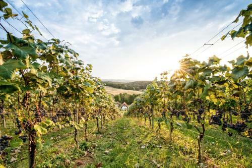 Wiener�s Kellerst�ckl