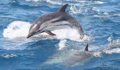 Luxury Ocean Spa Plaza Private Large 1 Bed Apartment