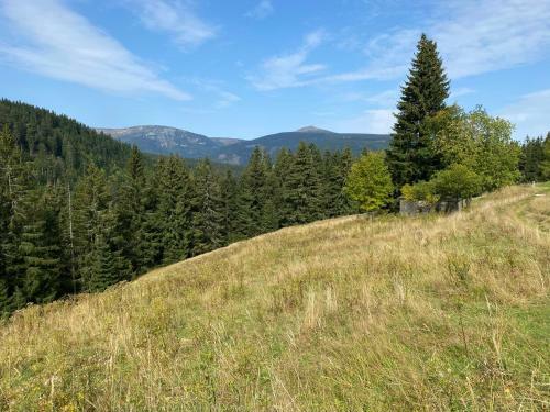 Cihl�?ka Apartm�n 109 - Pec Pod Sn??kou ?ern� Hora