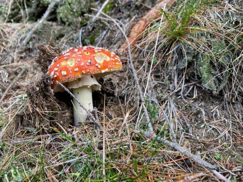 Cihl�?ka Apartm�n 109 - Pec Pod Sn??kou ?ern� Hora