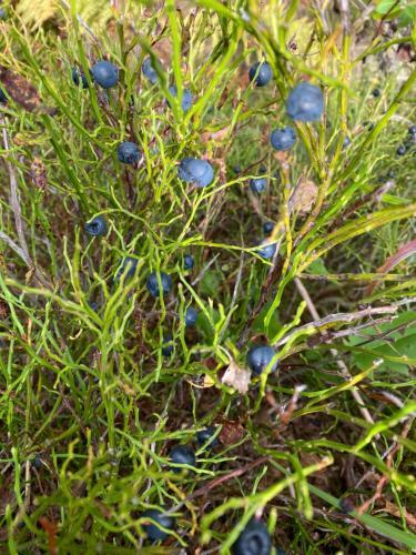 Cihl�?ka Apartm�n 109 - Pec Pod Sn??kou ?ern� Hora