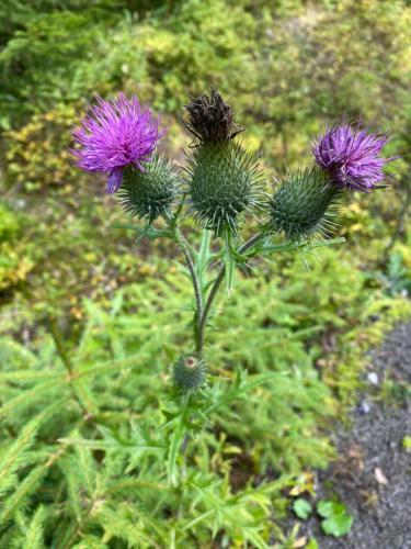 Cihl�?ka Apartm�n 109 - Pec Pod Sn??kou ?ern� Hora