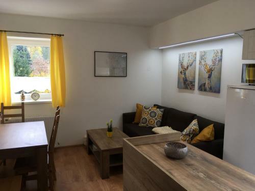 Apartm�ny Rychta?�kovi