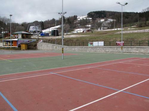 Vakantiehuis Cerny Dul 259