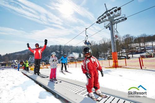 Vakantiehuis Cerny Dul 259